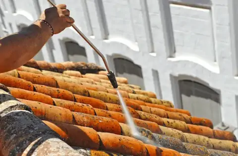 Nettoyage de toitures - Vaire